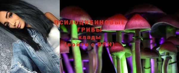 наркотики Алексин
