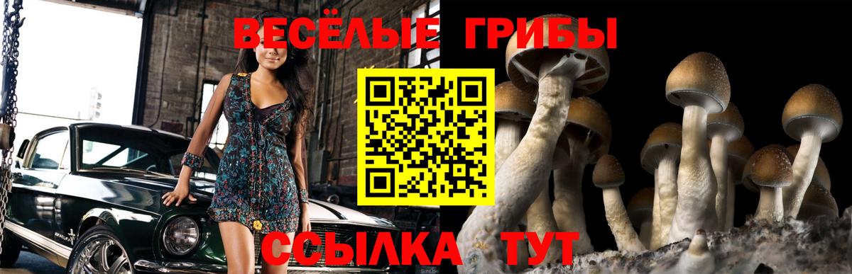 Бирск  Псилоцибиновые грибы Psilocybe  Вход с VPN  Псилоцибиновые грибы Magic Shrooms 